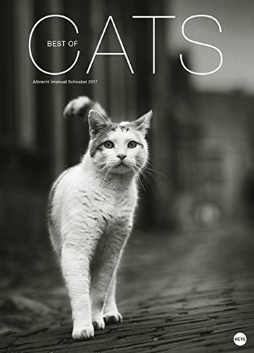 Cats Edition - Kalender 2017