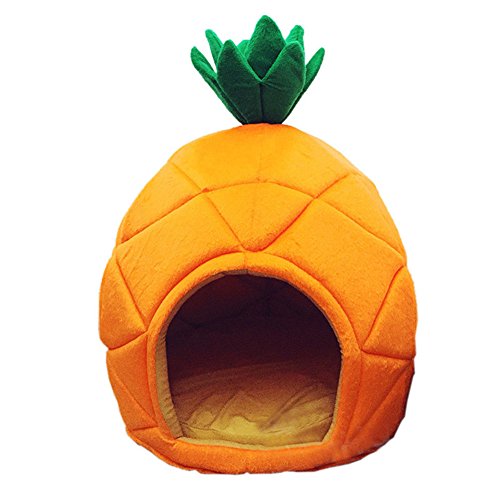 pineapple cat bed