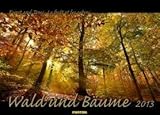 WALD UND BÄUME Kalender 2013 by 