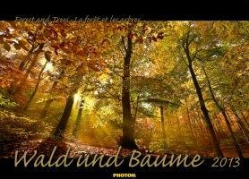 WALD UND BÄUME Kalender 2013