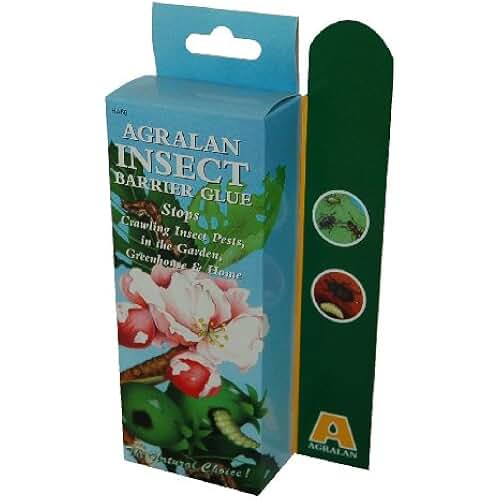 Amazon.co.uk vine weevil control