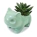 Produktbild Myhonour Pokemon Nette Keramik Kunst Töpfe Anime Hause Dekorative Keramik Kunst Vase (11.5cm, Grün)