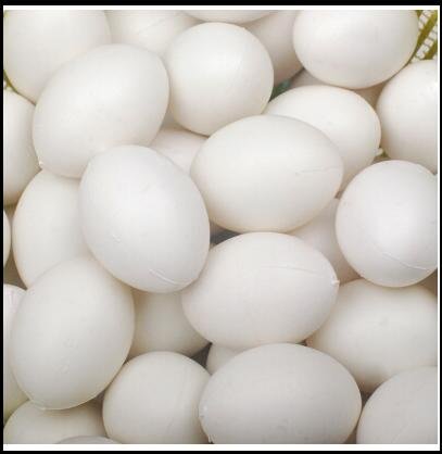 MTSZZF 10pcs Oeufs en Plastique Solides Eggs Dummy pour Les Pigeons Blanc