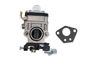 SALLYGARDENS Carburatore con guarnizione per decespugliatore Florabest FBS 43 A1 FBK 4 B2 4 in 1 Parkside PBK 4 A1 PBS 2 A1