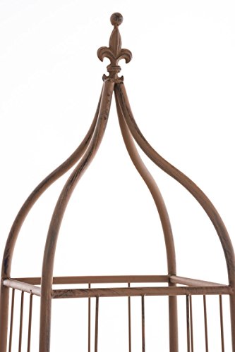 CLP XXL Rankhilfe / Rosensäule TROJA, Maße 44 x 44 cm, Höhe 350 cm antik braun - 4