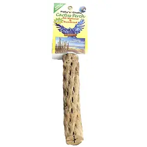 Polly's Cholla Cactus Bird Perch, Medium