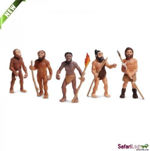 Safari Ltd Safariology Evolution of Man by Safari LTD