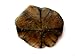 Produktbild Chiastolith Kreuzstein flache Scheibe poliert 3,5-4 cm