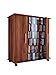 Produktbild VCM Regal DVD CD Rack Sideboard Medienregal Medienschrank Aufbewahrung Standregal Mobil Möbel Kern-Nussbaum "Luxor"