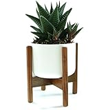 Suchergebnis auf Amazon.de für: Pflanzenständer: Garten