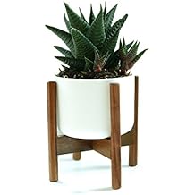 Suchergebnis auf Amazon.de für: Pflanzenständer