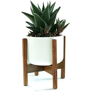 Suchergebnis auf Amazon.de für: Pflanzenständer: Garten