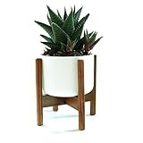  Fox & -Fern Mid-Century - Soporte moderno para plantas (madera de cerezo, incluye maceta de cerámica blanca)