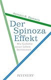 Image de Der Spinoza-Effekt: Wie Gefühle unser Leben bestimmen