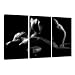 Produktbild Visario Leinwandbilder 1019 Bild auf Leinwand Frau, 160 x 90 cm, 3 Teile