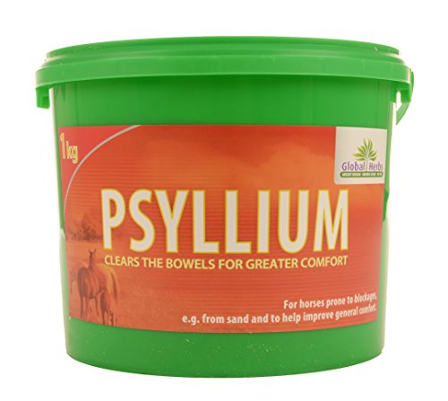 Psyllium by Global Herbs (1KG)