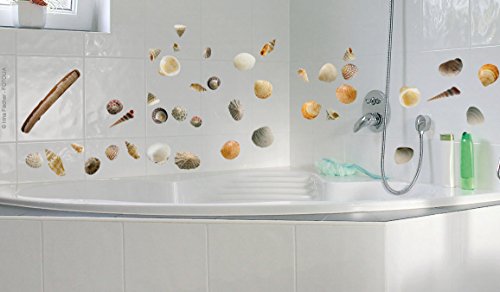 PLAGE 157104 Wandaufkleber-Muscheln, 2 Blätter, 29,7 x 21 cm - 2