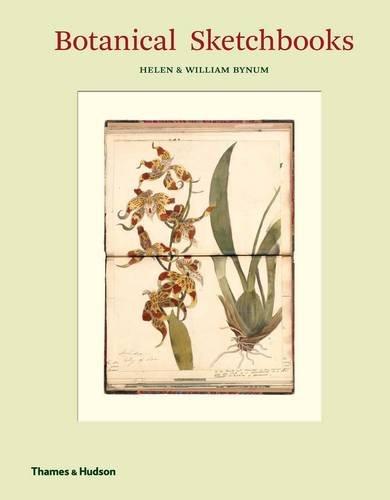 Download Botanical sketchbooks Download Botanical sketchbooks