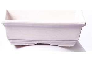 Alfareros Damian Canovas Maceta para Bonsai DE Barro Y ESMALTADA EN Color Blanco. Medidas 18X14X6 CM.Modelo HIROSIMA. con TU Compra TE REGALAMOS EL Plato.