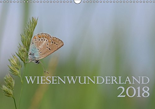 Preisvergleich Produktbild Wiesenwunderland 2018 (Wandkalender 2018 DIN A3 quer): Einheimische Wiesenblumen oder Insekten werden Dank Makroobjektiv zu Kunstwerken im ... ... [Kalender] [Apr 25, 2017] Wandel, Juliane