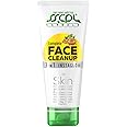 SSCPL Herbals Complete Face Cleanup 3-in-1 Botanical Facial Treatment: Scrub, Cream, Face Pack - Paraben-Free with Neem, Basil, Turmeric,Green Clay for Nourishing, Cleansing, Tightening and Brightening -100g x 2