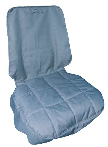 Preisvergleich Produktbild Petego EBSPFS GR Vordersitz Beschützer, grau