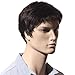 Songmics New Fashion Brown Short Wig for Men Full Hair 28cm WMS123