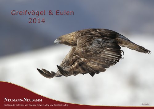 Greifvögel & Eulen 2014