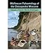 [(Molluscan Paleontology...
