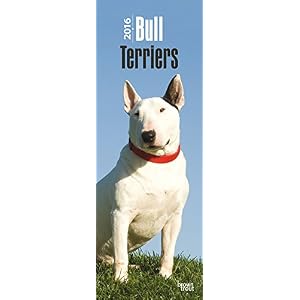 Bull Terriers 2016 Slim Bull Terriers 2016 Slim