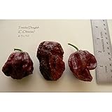 Semi di peperoncino Trinidad Douglah