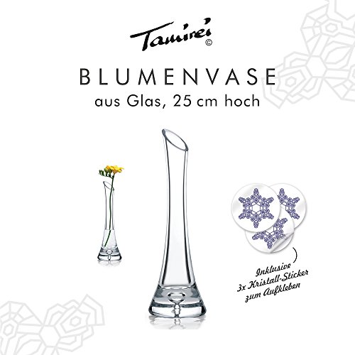 Garbanzo-Shop, Vase aus Glas, Höhe 25cm für Einzelblumen (Rosen) oder kleine Gebinde, Glasvase