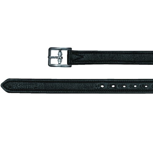 Preisvergleich Produktbild Passier Steigbügelriemen + Nyloneinlage