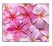 Produktbild Tropical Pink Plumeria Flowers Exotic Hawaii Leis Fresh Pretty Mouse Pads Customized Made to Order Support Ready 9.8 X 11.8 Eco Friendly Cloth with Neoprene Rubber Liil Mouse Pad