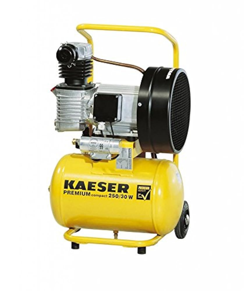 Kaeser premium compact 160/4w. Компрессор premium compact 160/4w. Kaeser premium car 250/30w. Premium compact. Premium compact.