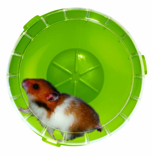 Roue silencieuse rodyl ounge Vert Kiwi Silent Wheel Mini diamètre 11 cm environ pour Hamsters Nains et Souris/Zolux