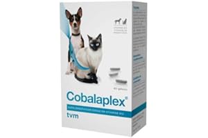 TVM - Cobalaplex Supplémentation Vitamines B12 Et B9 Boite 60 Gélules