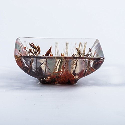 Preisvergleich Produktbild Kleine Schüssel viereckig "Herbst Collection"