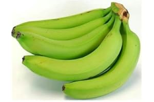 ‎KAJAL Kajal Frische exotische grüne Kochbananen zum Kochen Kochbananen (3 x 1000 g) Obst und Gemüse, kulinarische Essentials für Ihre Küche.