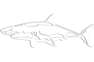 Wenmin Decalcomanie Squalo Bianco - Adesivi Animali Marini - Adesivo Bianco Decorativo Impermeabile per Auto, Biciclette, Camion, Pareti, Portatili, Tazze