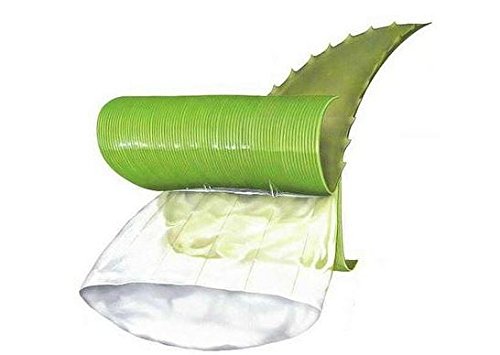 Aloe Vera - 3