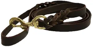 Skora Leather Braided Leash, 4' x 3/4