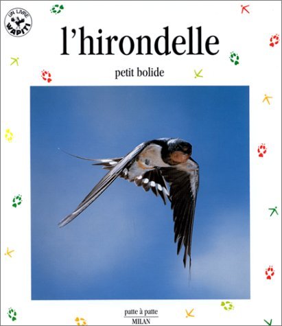 L'hirondelle, petit bolide