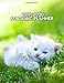 Produktbild Academic Planner 2019-2020: Weekly & Monthly Dated Academic Planner Organizer with Vision Boards, Course Schedule, To-do Lists, Inspirational Quotes ... Fluffy White Kitten (Cat Lovers, Band 12)