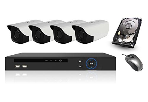 Preisvergleich Produktbild 4 DLAN Kameras Überwachungssystem. Verbindung über die Steckdose 230V. Einfache Installation, Festplatte:2000 Gb