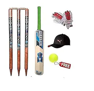 SPORTS HUB Wooden Cricket Kit for Boys and Girls Tennis Ball Combo for Age Group 12-14 Years, Size 5.