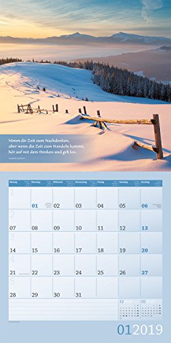 Book's Cover of Momente für Dich 2019, Wandkalender / Broschürenkalender im Hochformat (aufgeklappt 30x60 cm) - Geschenk-Kalender mit Monatskalendarium zum Eintragen