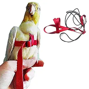 Anelekor Adjustable Birds Harness and Leash Parrot Harness Leash Training Supplies Pet Anti-bite Outdoor Flying Rope for Conures Budgerigar Lovebird Cockatiel Mynah (M, Red)