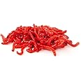 Swell Live 25mm Bloodworm Aquarium Fish Food 10 Pack. Outstanding Tropical Fish Food.