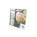 Produktbild Original Tinte passend für Epson WorkForce WF-3500 Series Epson T1295 C13T12954010-4x Premium Drucker-Patrone - Schwarz, Cyan, Magenta, Gelb - 1 x 11,9 & 3 x 7 ml